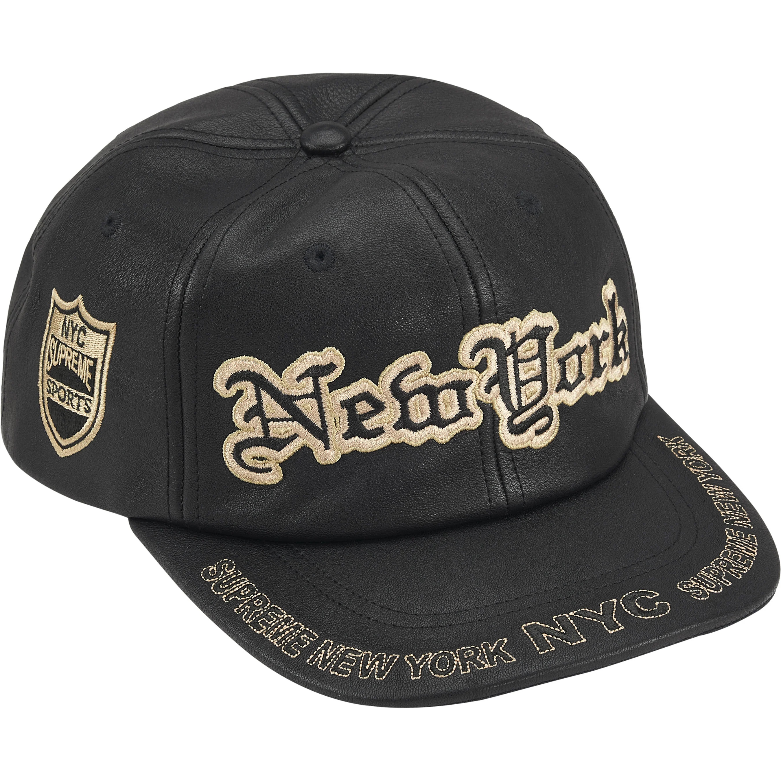 New York Leather 6-Panel view 10